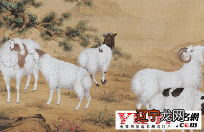 属羊的不同时辰、不同时期的命运，你知道吗？