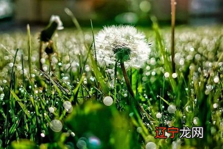 球球大作战占卜币怎么用_周易占卜与六壬那个准确_大六壬占卜