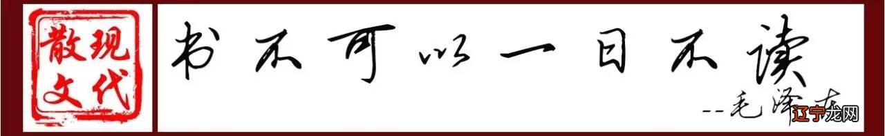 平安冬天:老父为狗扛棺材为其扛不进来
