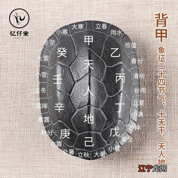 洋蓍草的副作用_蓍实与决明子_蓍怎么占卜