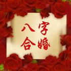 八字婚配合婚合生肖命宫人的一生中，八字合婚属相有着