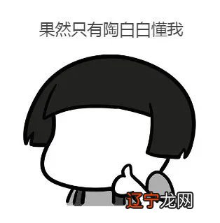 蓍怎么占卜 玄学早就刻在中国人的DNA里,有着上千年的历史