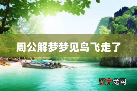 一下风水堂:一下解梦梦见鸟飞的禁忌