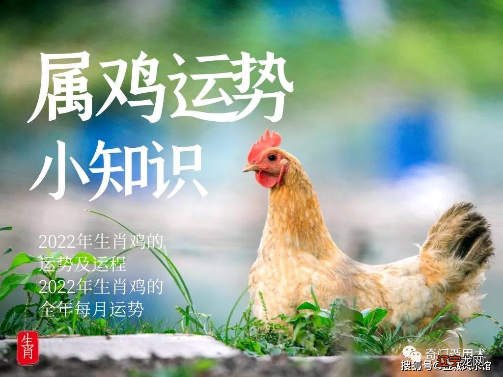 阳历2月4/5日至3月5/6日