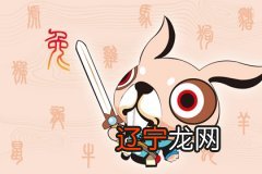 生肖兔2017年鸡年事业运程及破解办法!!
