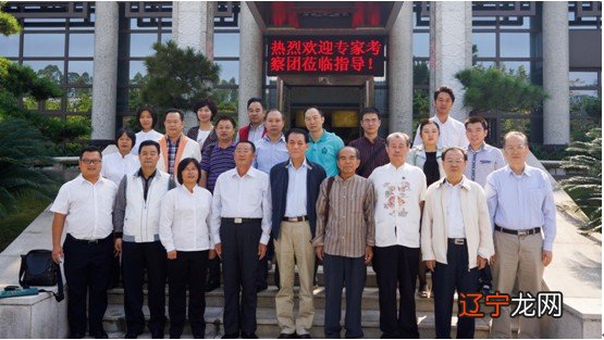 金钟墓园是“五龙捧圣,富贵之地”的专家