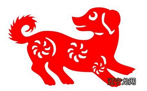 图 属狗的人2019年全年运势有效的生肖