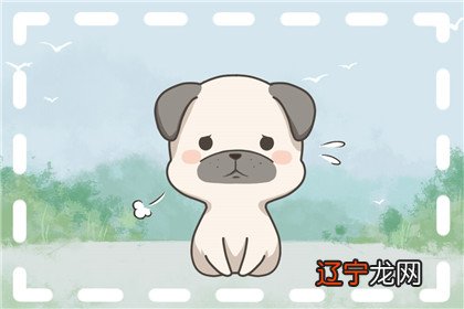 图 属狗的人2019年全年运势有效的生肖