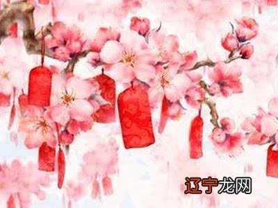 85年属什么生肖什么命_57年属什么生肖什么命_1958年属什么生肖属命