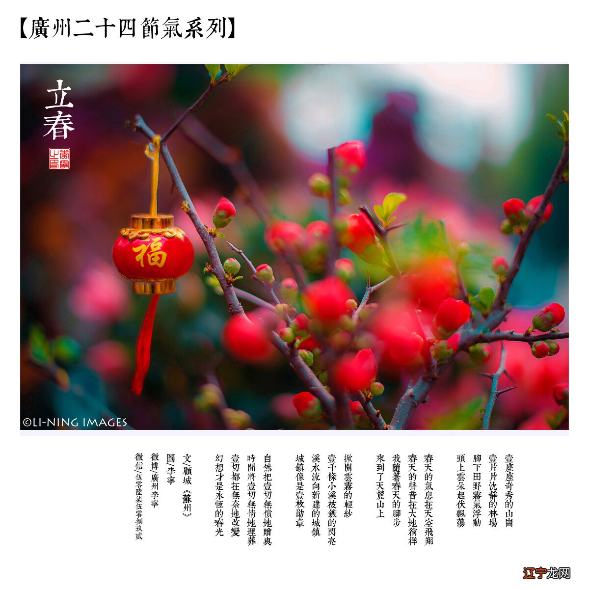 八字命理 八字是一种根据八字推命的方法？