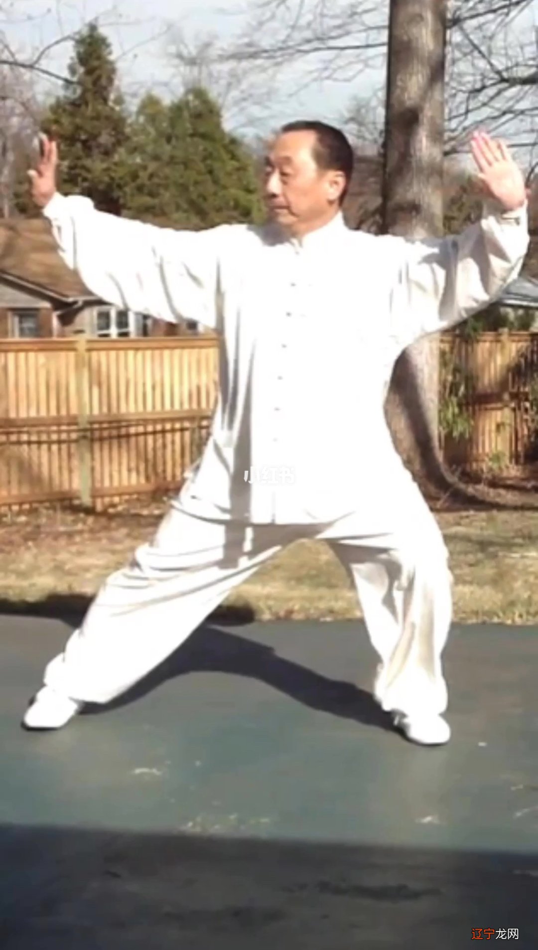 “虎头少保”“天下*手”孙禄堂之嫡孙女