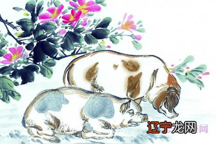 怎样的吧?从出生月份看生肖猪的姻缘配对!