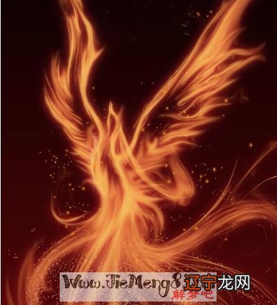 风水堂:梦见凤凰孕妇是什么预兆