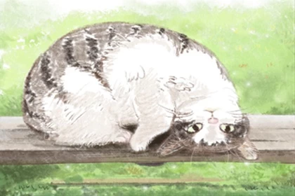 风象星座和水象星座在一起会如何，相配吗？