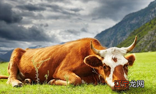 组图 你们看过父母与子女属相相克表大全吗？