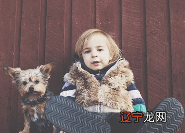 2019生肖属狗的人2019年运势运程的具体情况吧！