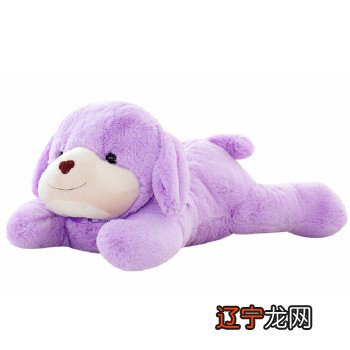 属狗属狗的人适合住什么楼层?有你吗?