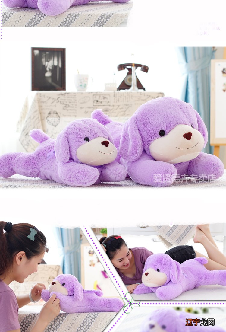 属狗属狗的人适合住什么楼层?有你吗?