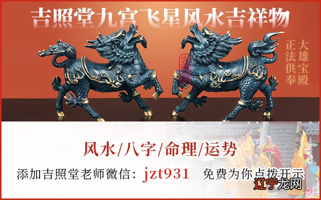 图 为什么民间说捡猫的说法并不好呢?