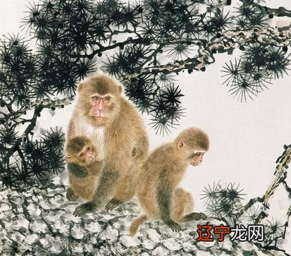2015年生肖猴每月运势_生肖龙时辰属猴的运势_生肖马和生肖猴生哪个属相的宝宝