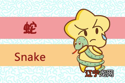 十二生肖中属蛇的人2019年运程中的下半年运程如何