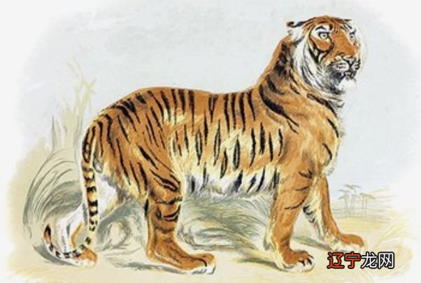 6月到来,赚钱积德行善自动送上门的三大生肖!