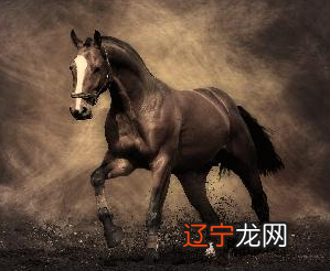 十二星座代表的动物 ， 天秤座是孤狼 ， 狮子座的很漂亮！