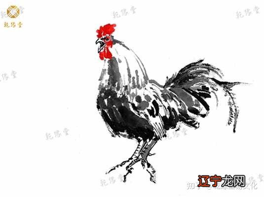 2022年的属鸡人,运势有吉有凶的三大生肖!