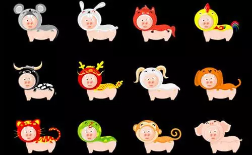 属猪人和属鸡能婚配吗?属相婚配属鸡和属猪相配吗