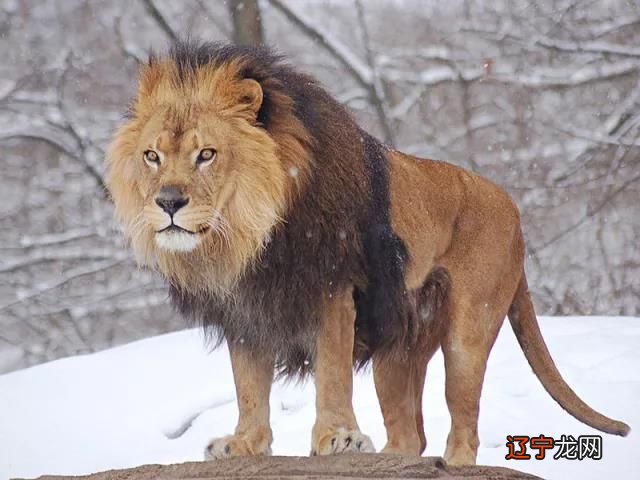 脾气对人的一生来说,影响是非常大的的