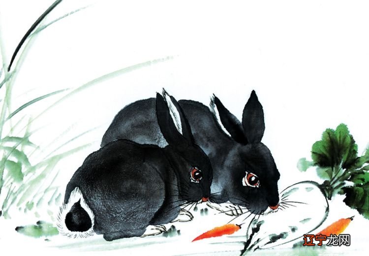 不利于事业的长期合作,也不利于婚姻感情稳定的生肖