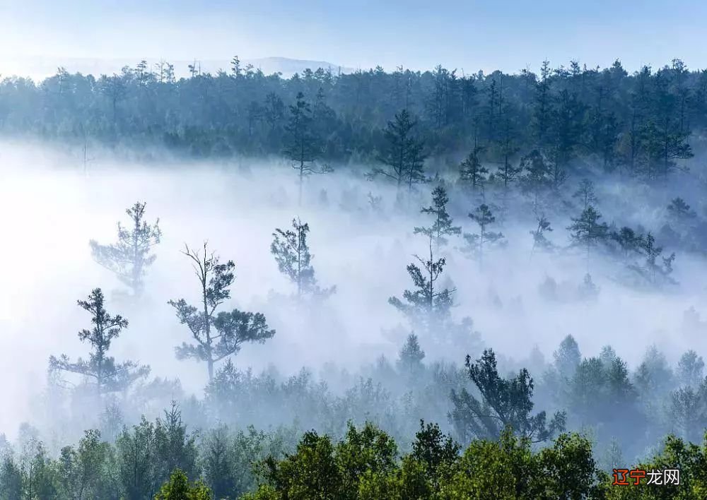 呼伦贝尔美丽大草原，2019年重磅升级，再次归来！