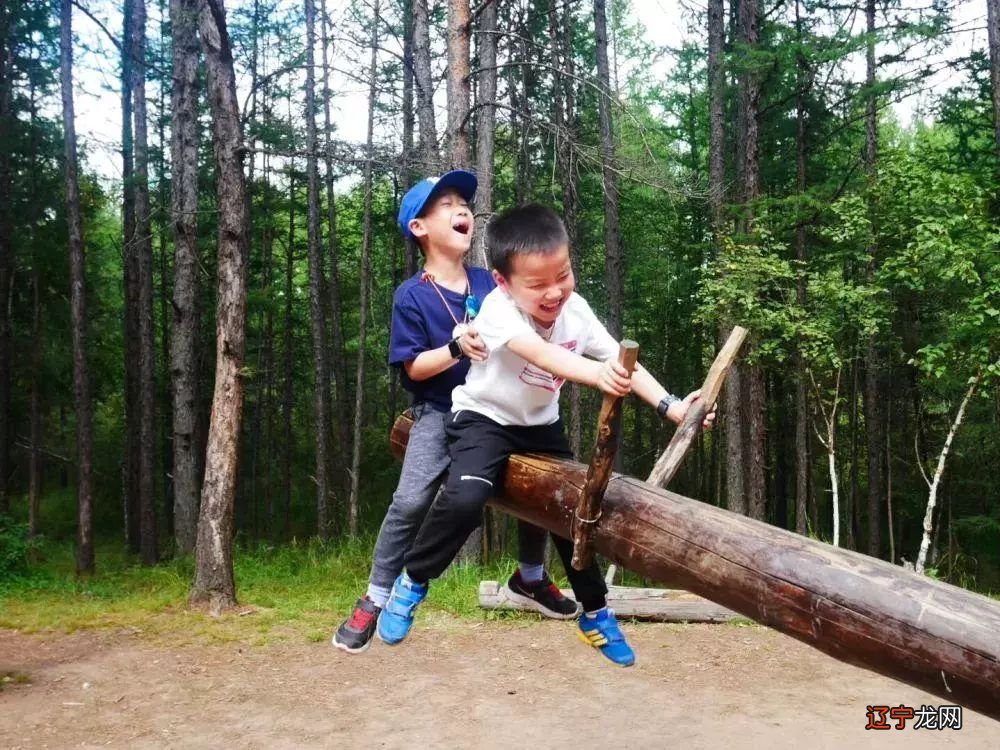 呼伦贝尔美丽大草原，2019年重磅升级，再次归来！