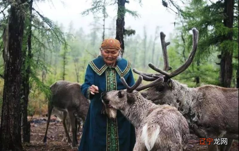 呼伦贝尔美丽大草原，2019年重磅升级，再次归来！