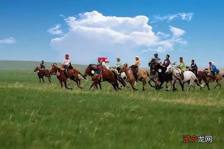 呼伦贝尔美丽大草原，2019年重磅升级，再次归来！
