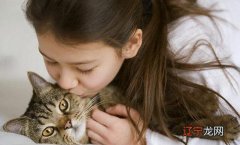 免疫力低能养猫吗？免疫系统疾病可以养猫吗