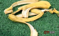 香蕉皮的妙用有什么用，香蕉皮有啥功效