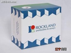 DIG45 Rockland重组DIG抗体应用原理科普