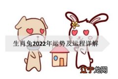2022属兔运势。2022年属兔人每月运势
