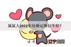 属鼠人2020年感情与婚姻，属鼠人2022年结婚好不好？