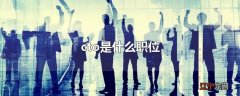 cto是什么职位
