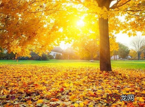 形容冬天好天气的句子