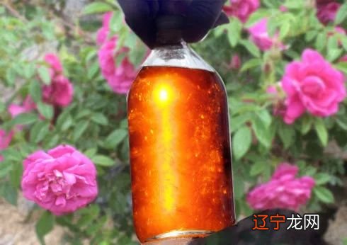 哪种精油美白效果好?