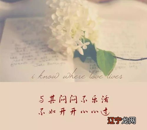 饥饿游戏小说下载 饥饿游戏原著最终结局?