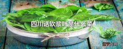 四川话软浆叶是什么菜