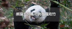 熊猫为何从吃肉改成吃竹