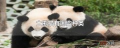 大熊猫有哪些种类