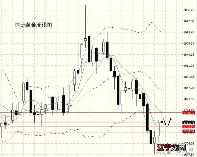 上海康城房价猛涨_今天金价多少钱一克 今日金价_金价为何猛涨