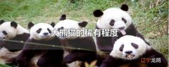 大熊猫的稀有程度