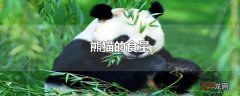 熊猫的食量